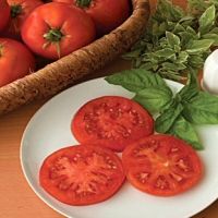 tomato burpee supersteak hybrid
