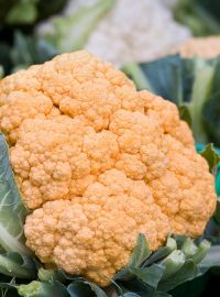 Orange Cauliflower Cheddar