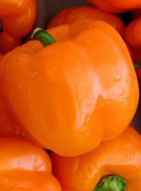  Orange Bell Pepper