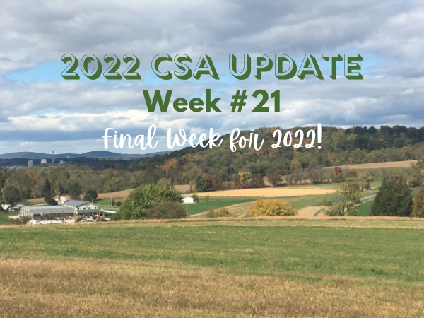 2022 CSA Week #21 Update
