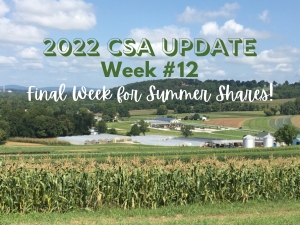 2022 CSA Week #12 Update