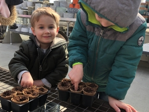 Seed Starter Activity for Kids