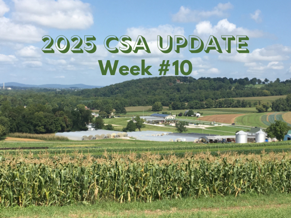 2025 CSA Week #10 Update