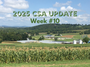 2025 CSA Week #10 Update