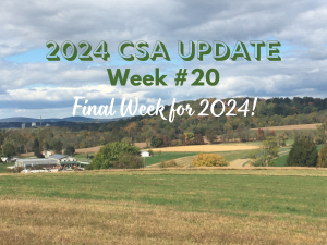 2024 CSA Week #20 Update