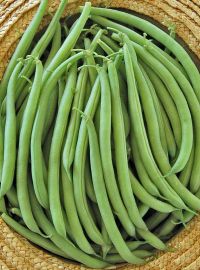 Bush Beans