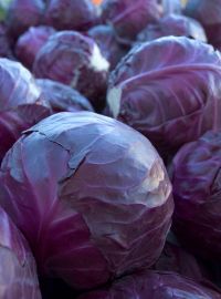 Red Cabbage