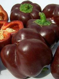 Chocolate Beauty Bell Pepper