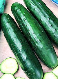 Cucumbers