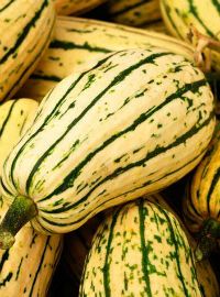 Delicata Squash