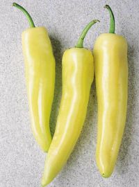 Inferno Hybrid Hot Pepper