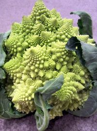 Romanesco