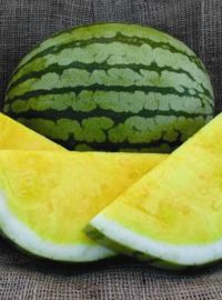 Yellow Seedless Watermelon