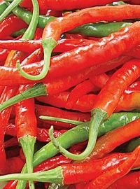 Cayenne Hot Pepper