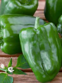 Sweet Green Bell Pepper