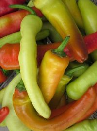 Hungarian Wax Hot Pepper