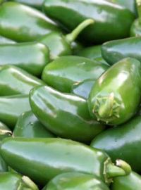 Jalapeno Peppers