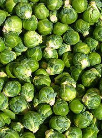 Brussels Sprouts