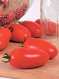 San Marzano Tomato