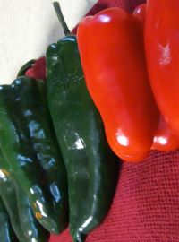 Poblano San Ardo Hot Pepper