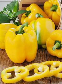 Yellow Bell Sweet Pepper