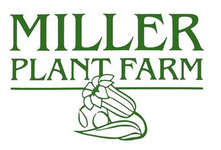 York County Plants, Trees & Produce - Miller Plant Farm