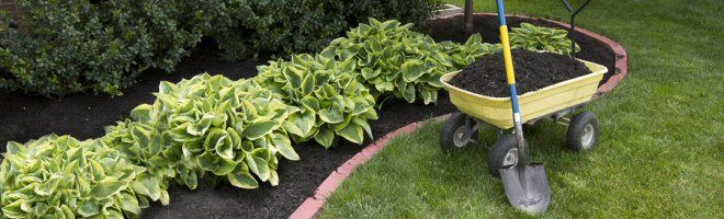 mpfg101-mulching